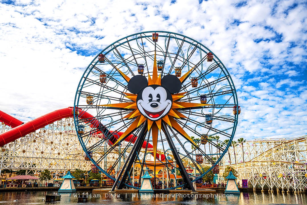 Mickey Fun Wheel