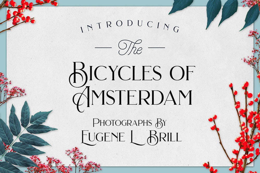 Bicycles of Amsterdam