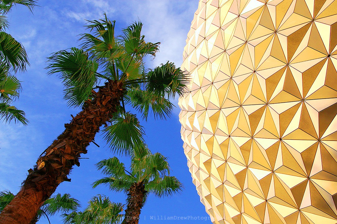 Spaceship Earth and Palm Trees - EPCOT Art Prints | William Drew Photography