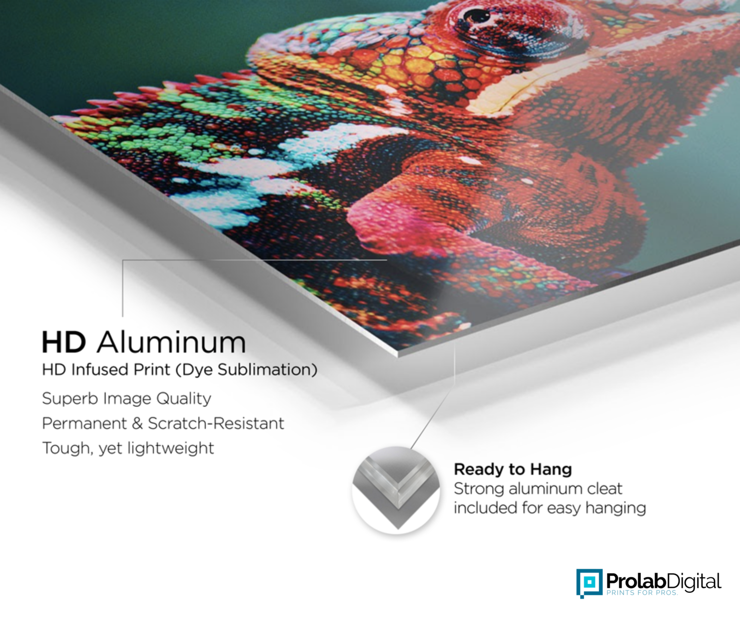 HD Infused Chromaluxe Aluminum Metal Prints at Prolab Digital