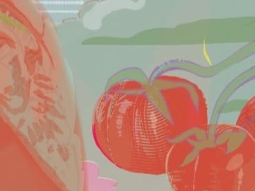 Tomato Lessons