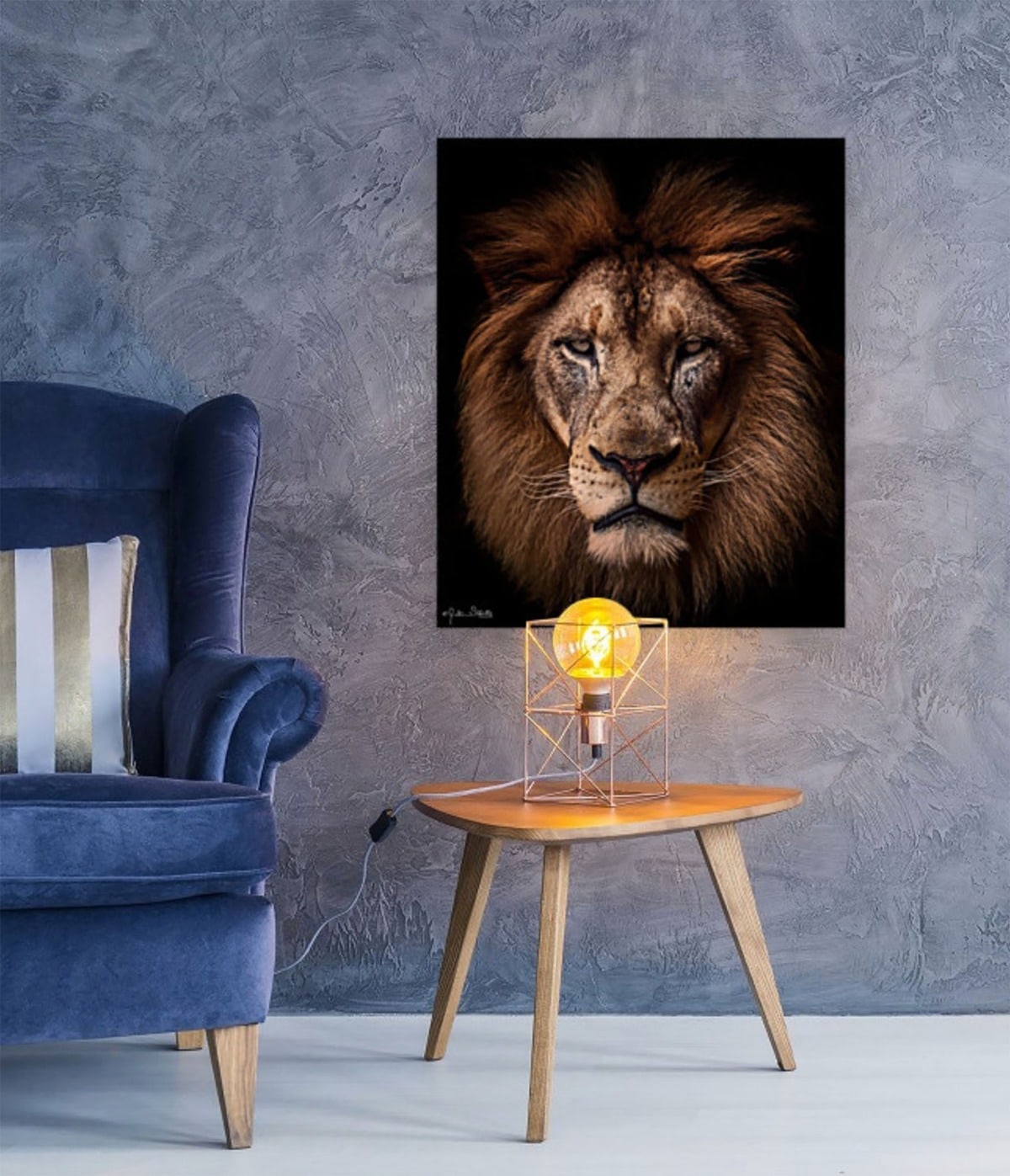 REGAL AFRICAN LION IN SPACE