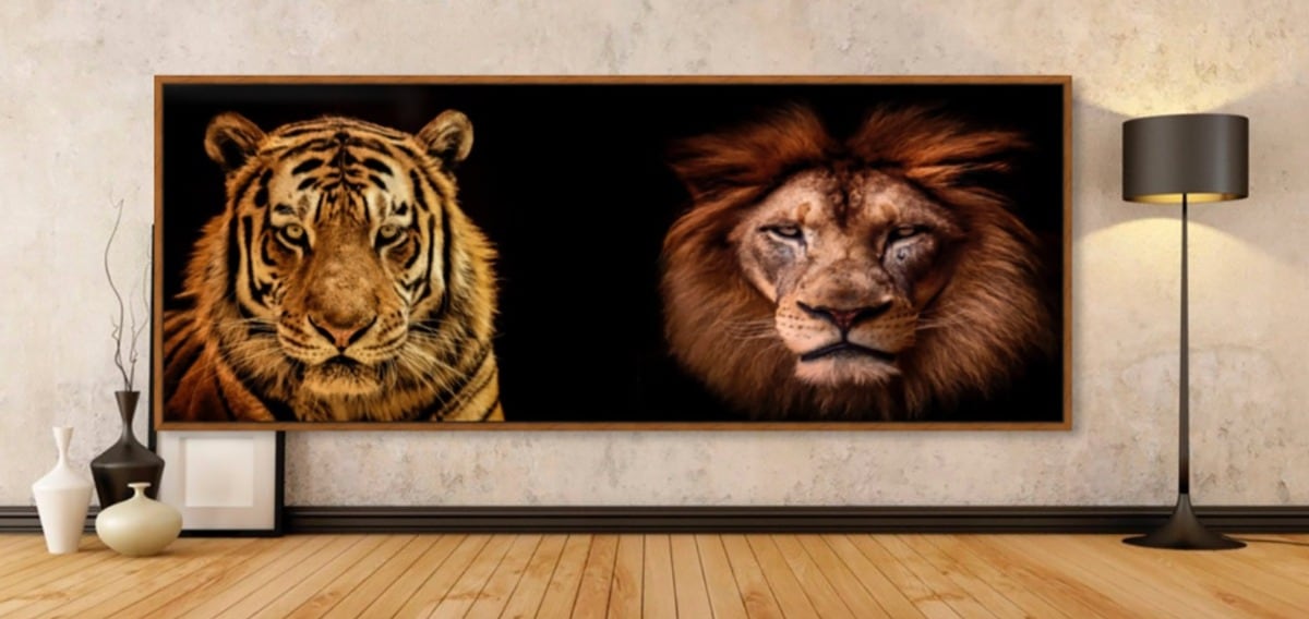 Tiger - Lion Duo #3
