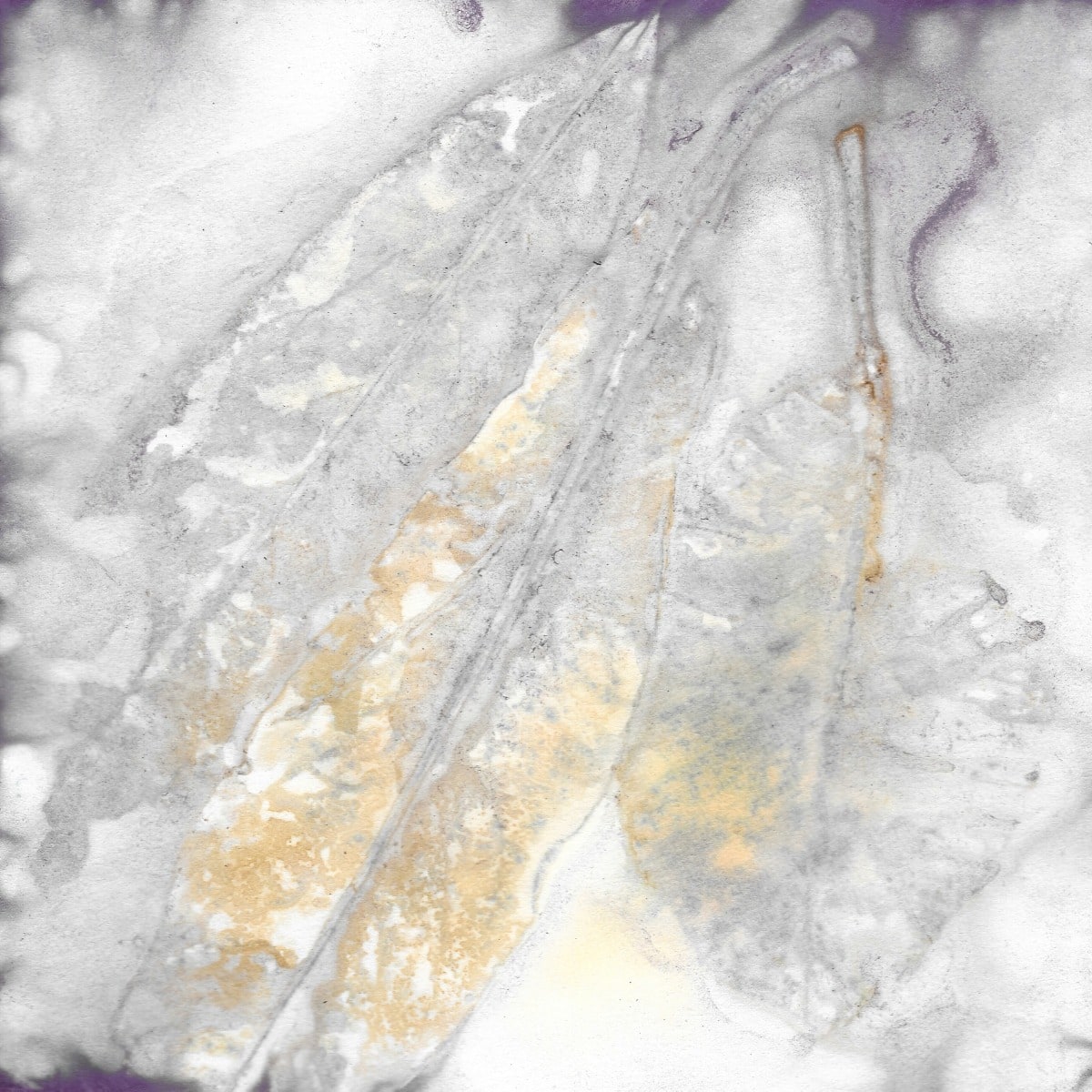 Silver and Gold