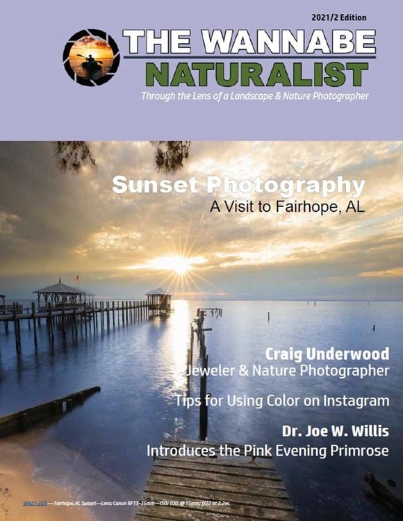 2021/2 Subscribe to The Wannabe Naturalist Magazine
