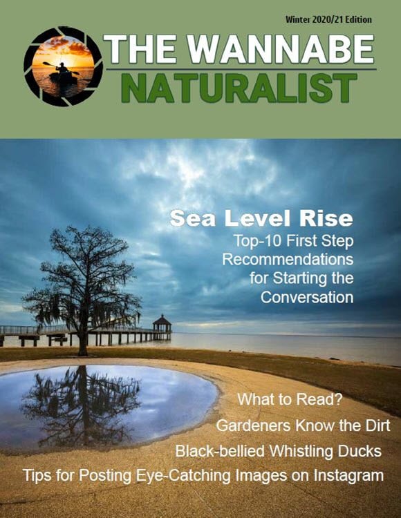 2021/1 Subscribe to The Wannabe Naturalist Magazine