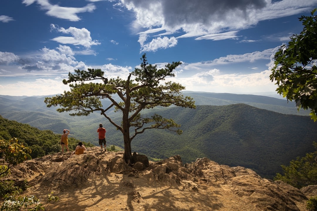 Landscape Photography
