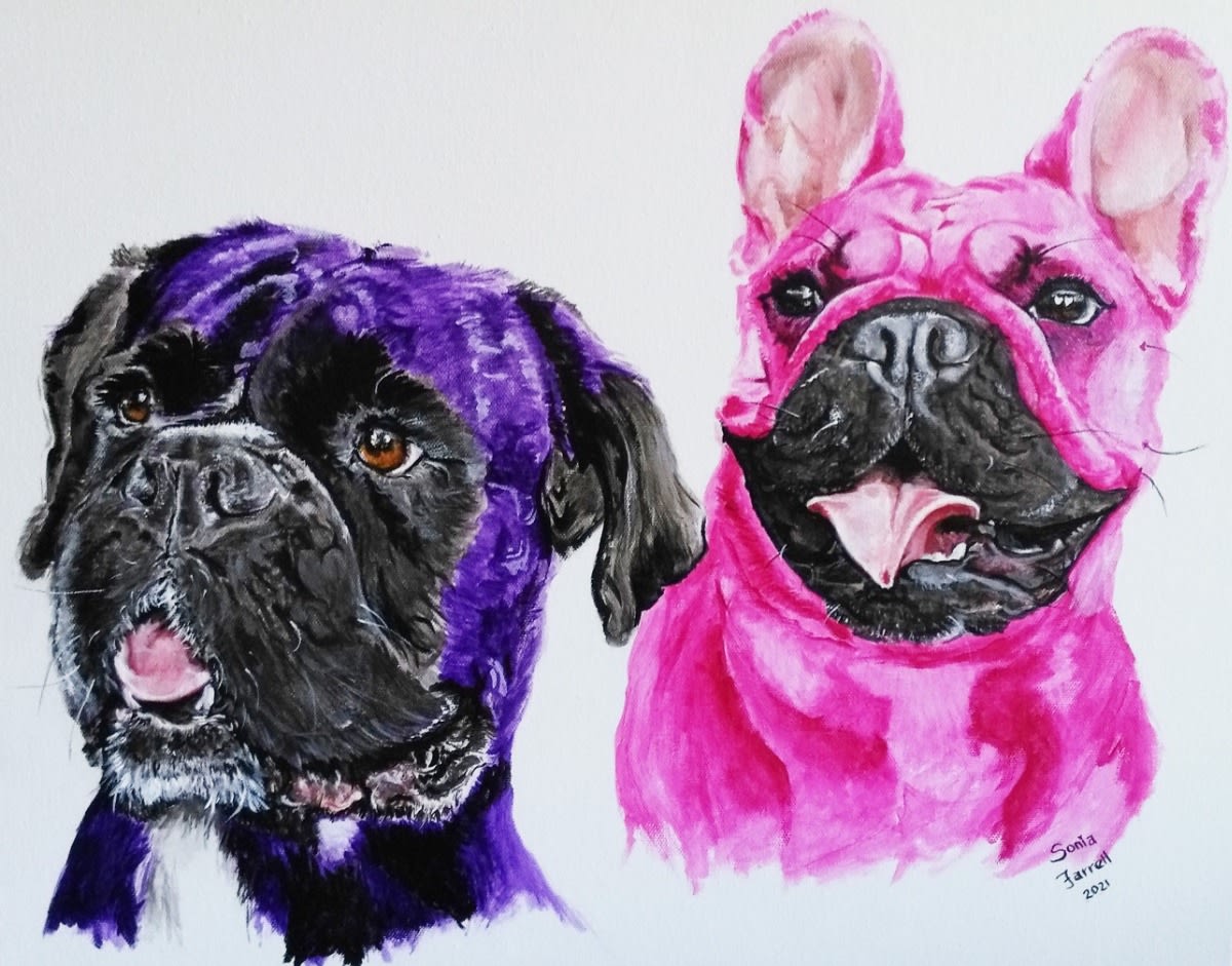 More about Jasmine the Boxer and Luna the French Bulldog