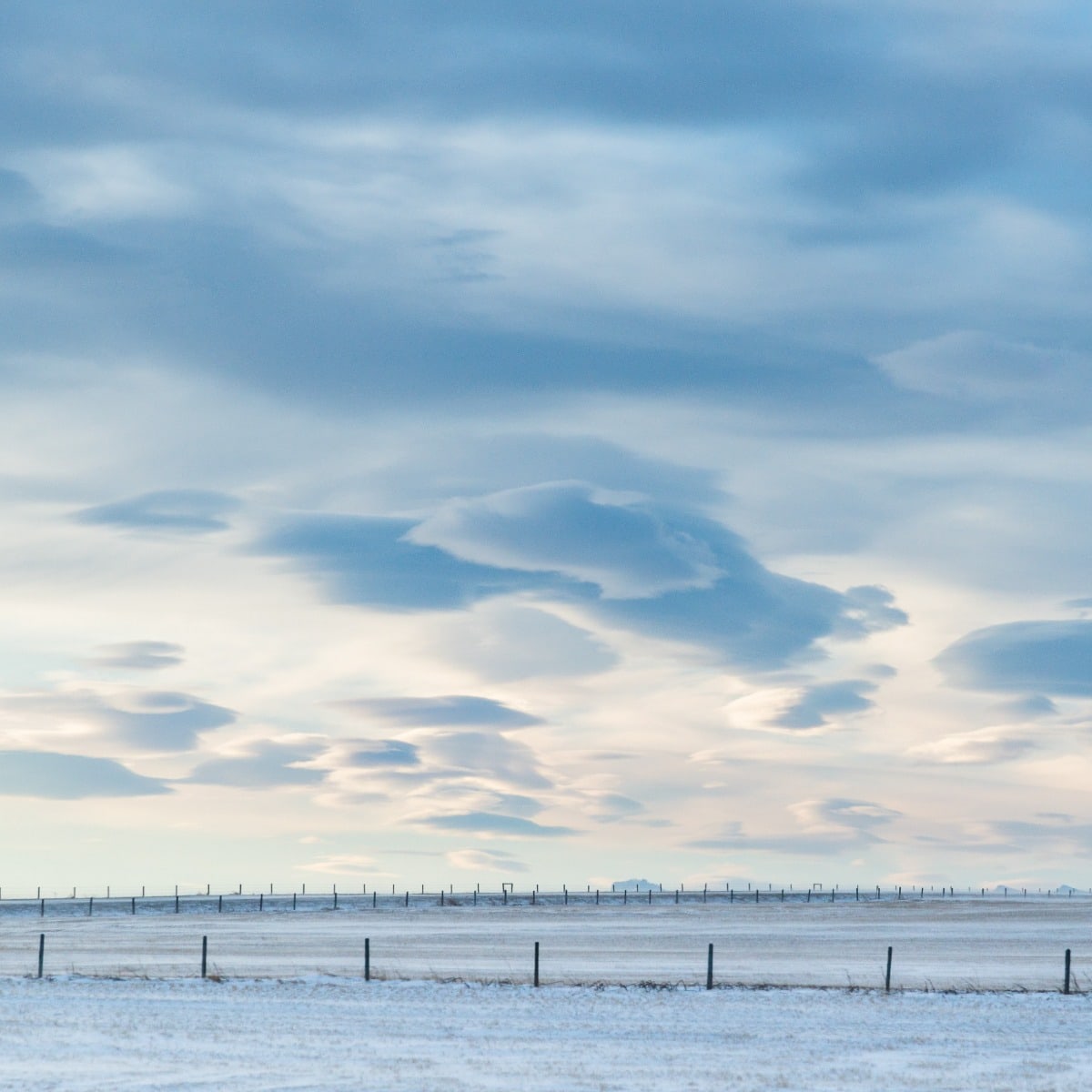 2022 Calendar Cover - Winter Landscape at Sunsrise, Alberta