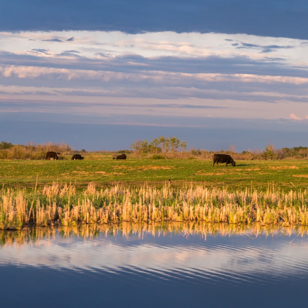 2022 Calendar Cover - Pastoral prairie sunset, Manitoba