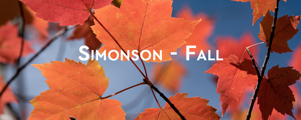 Simonson - Fall