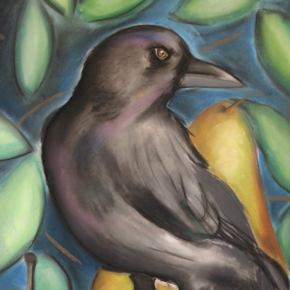 Crow in a Pear Tree