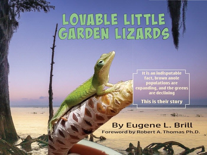 Buy Lizard Book