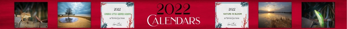 2022 Garden Lizard Calendar