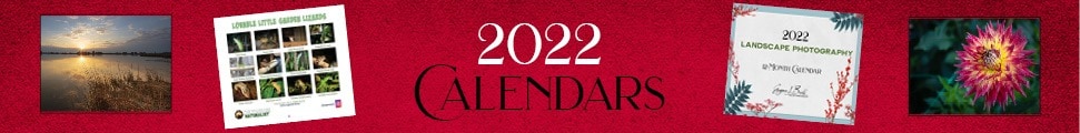 2021 Calendars