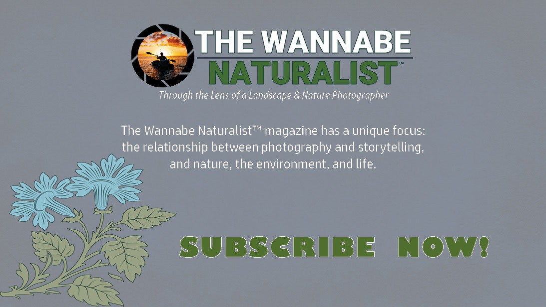 Wannabe Naturalist by Eugene Brill