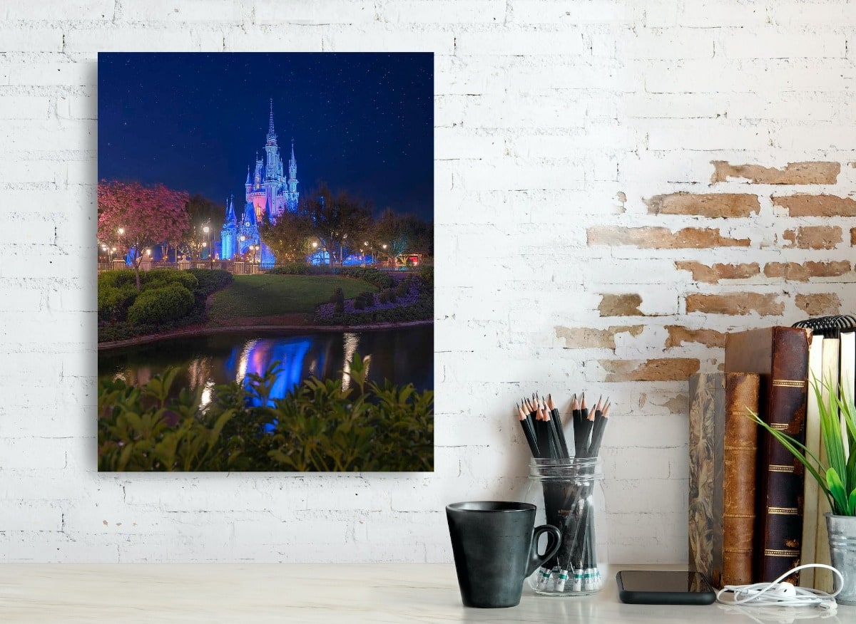 Magic Kingdom Castle at Night - Disney Canvas Art | William Drew