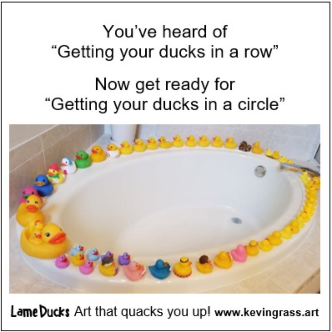 Ducks in a circle meme