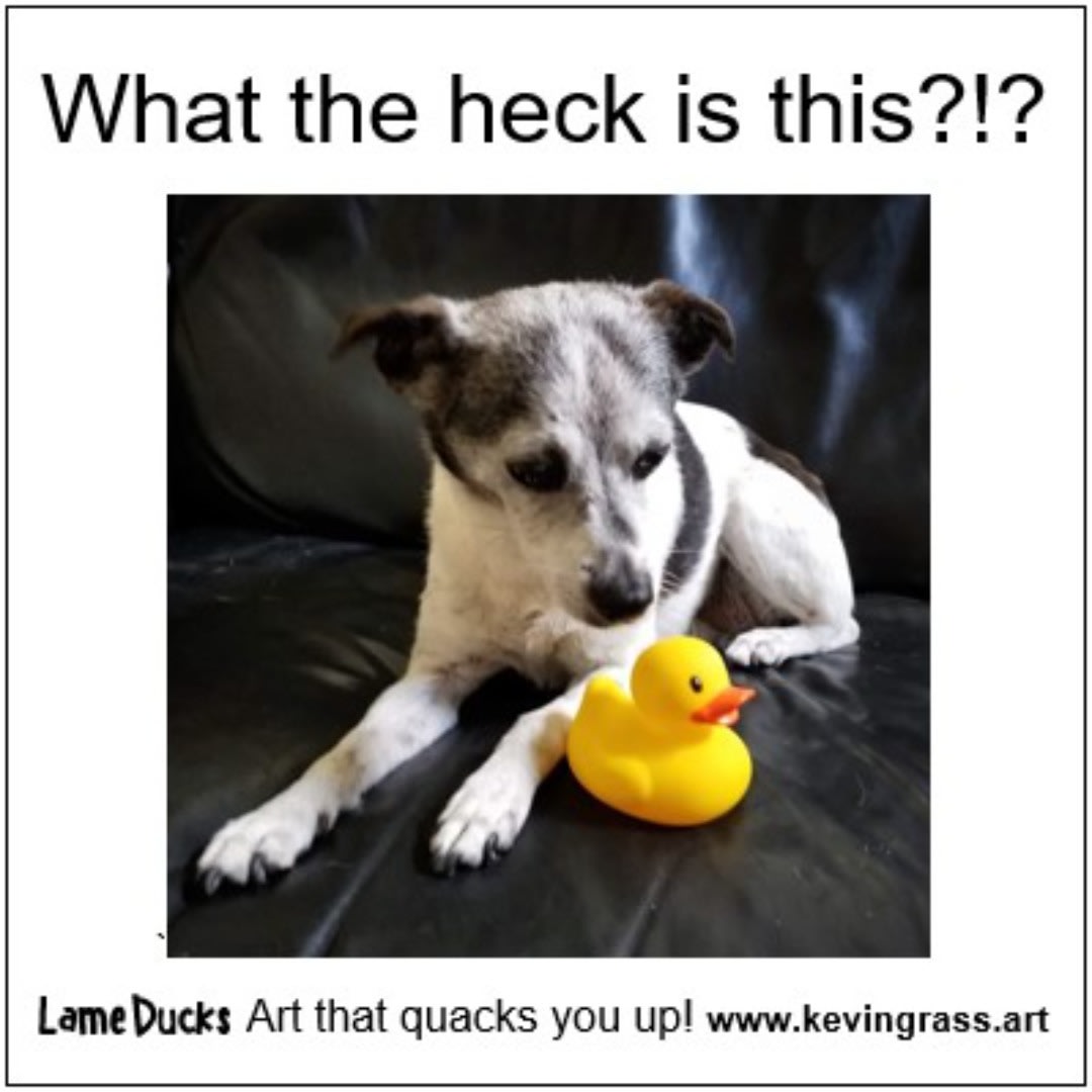 What the heck is this meme