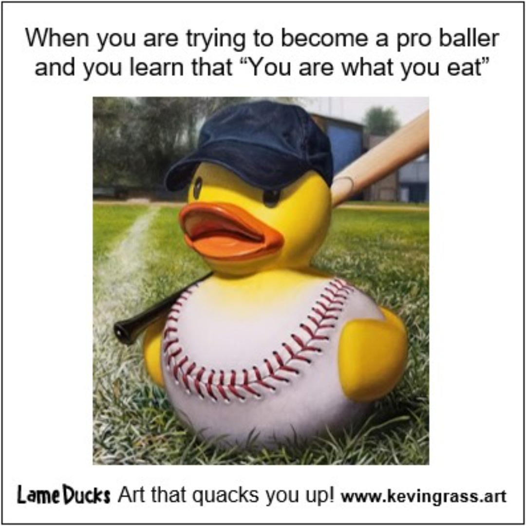 "Fowl Ball" meme