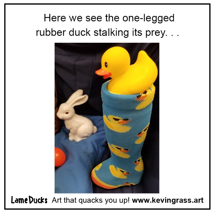 One-legged rubber duck meme