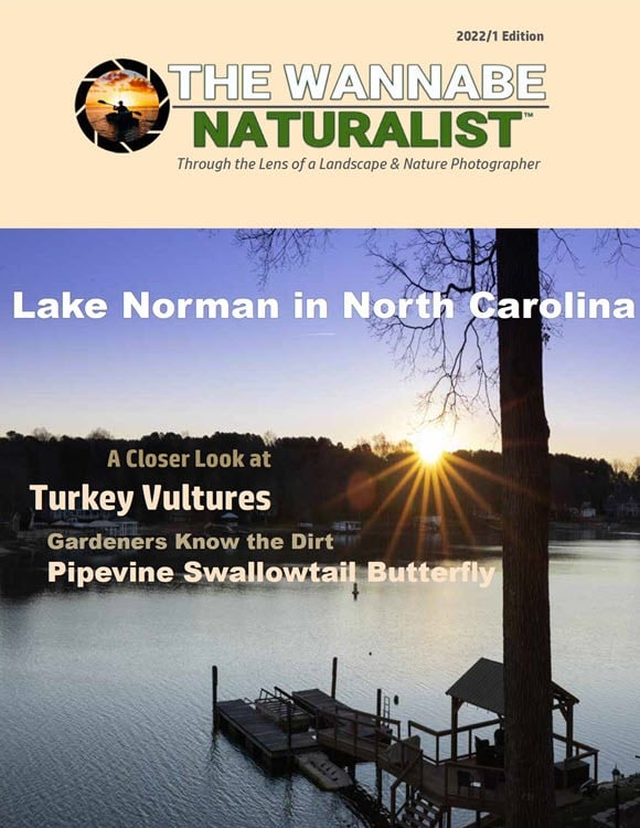 2022/1 Subscribe to The Wannabe Naturalist Magazine