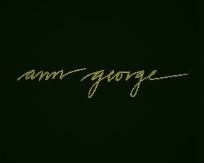 anngeorgephotography.com
