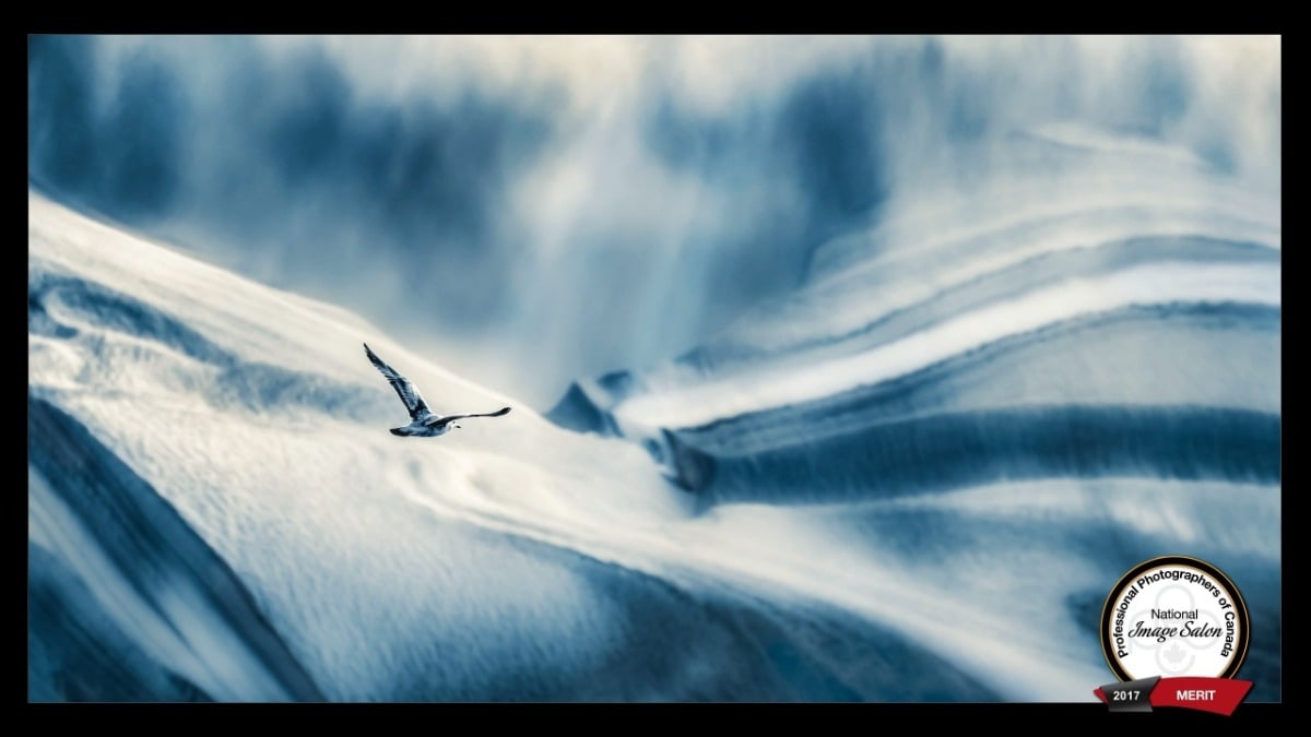 The Journey