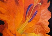 Flower Close-up Oil Paintings Article