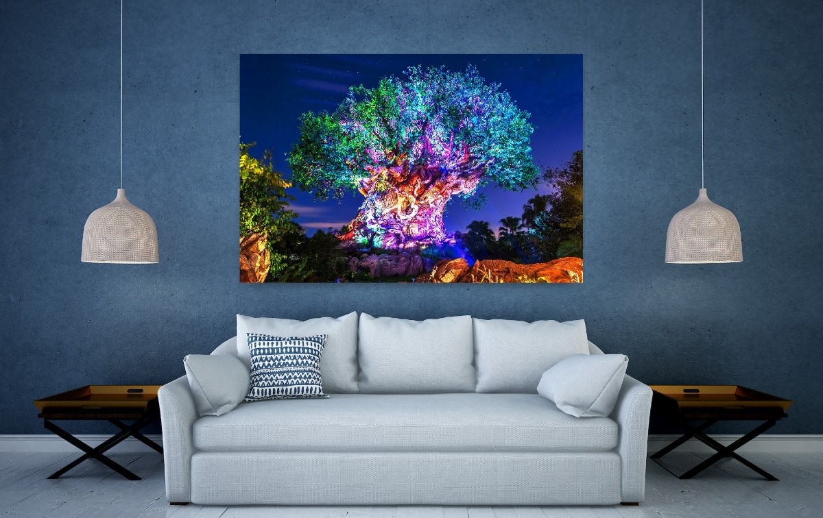 Tree of Life Awakenings - Disney Wall Art | William Drew Photography