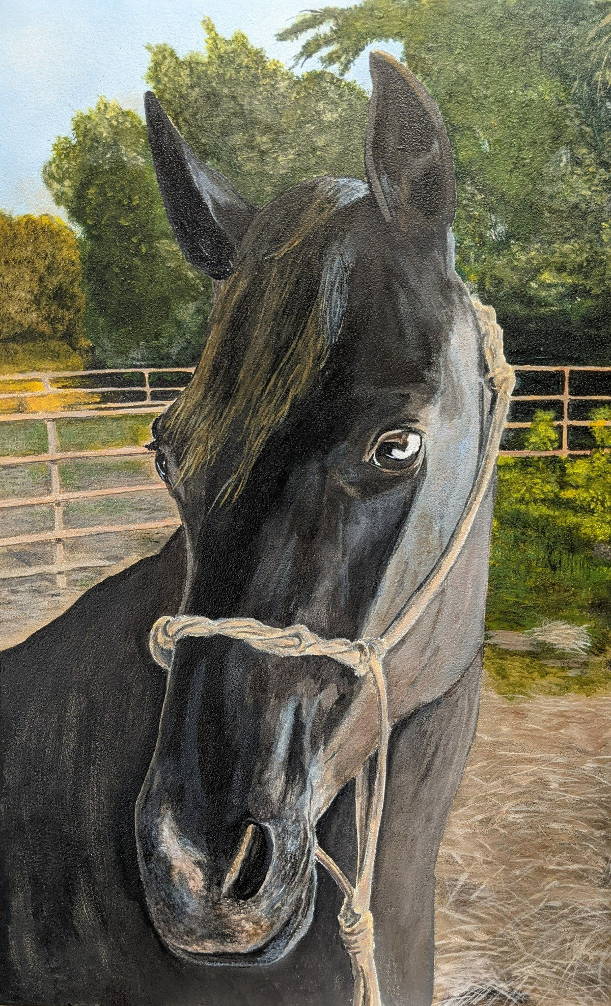 Commission Brent Beal