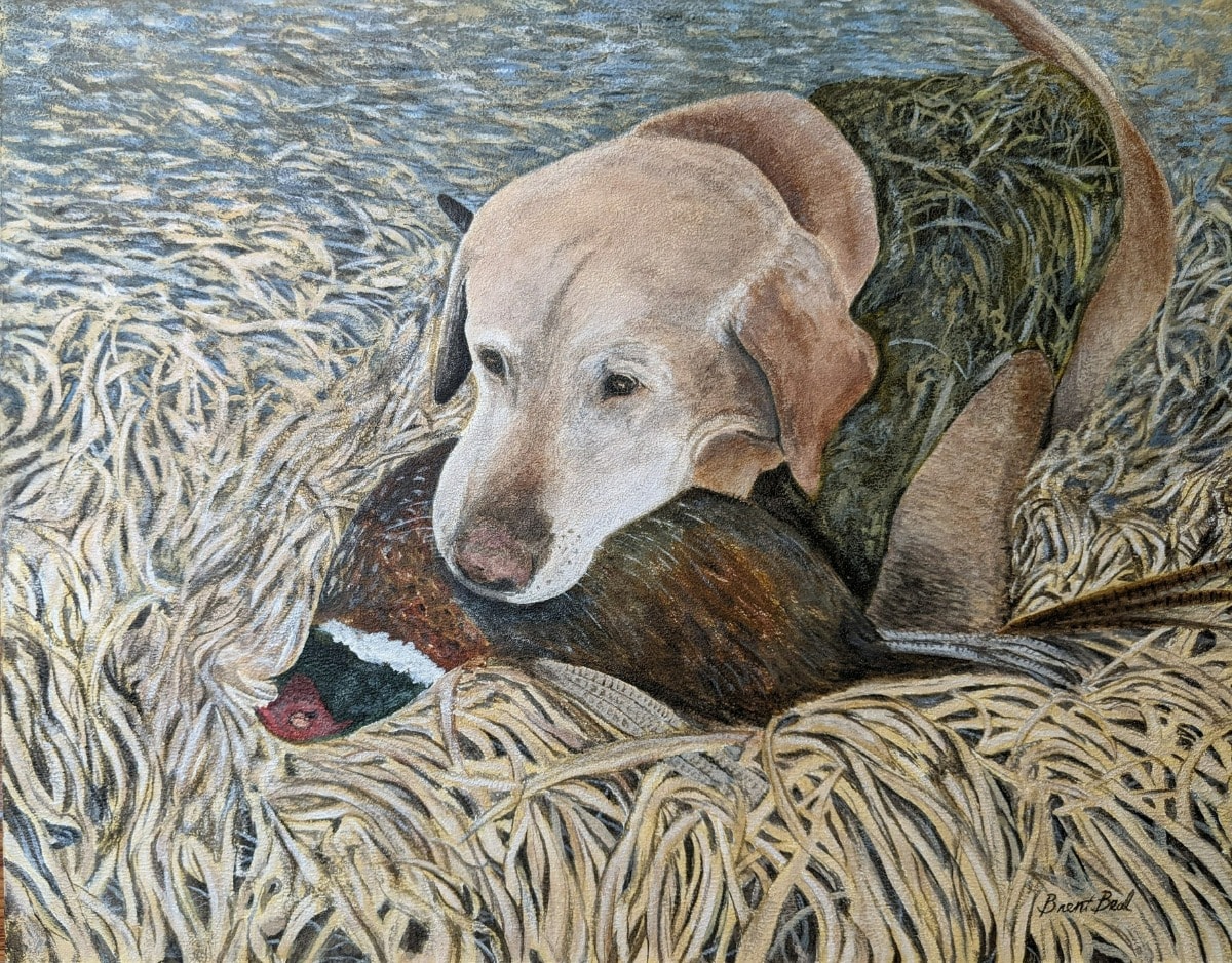 Commission Brent Beal