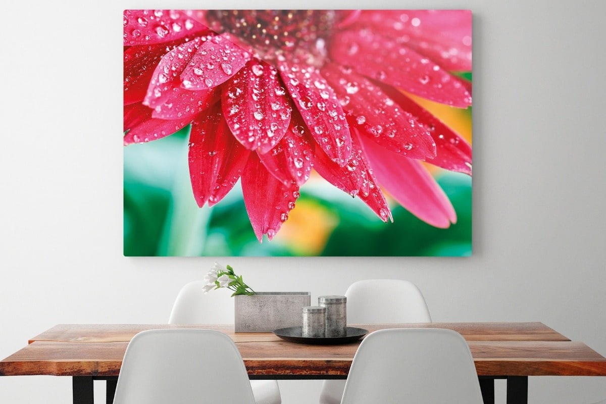 A metal print with a sleek style and easy hanging