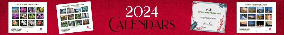 2024 Eugene Brill Calendars