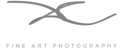 Diego Cappella Photography