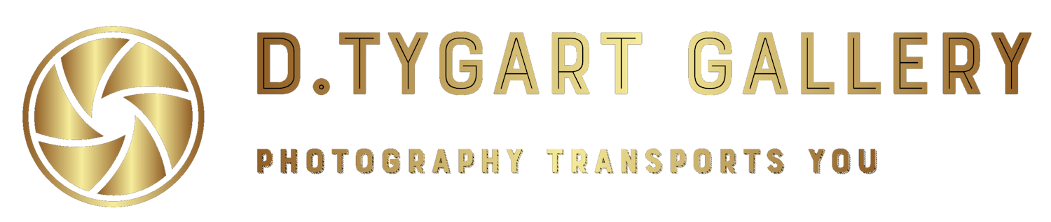 dtygartgallery