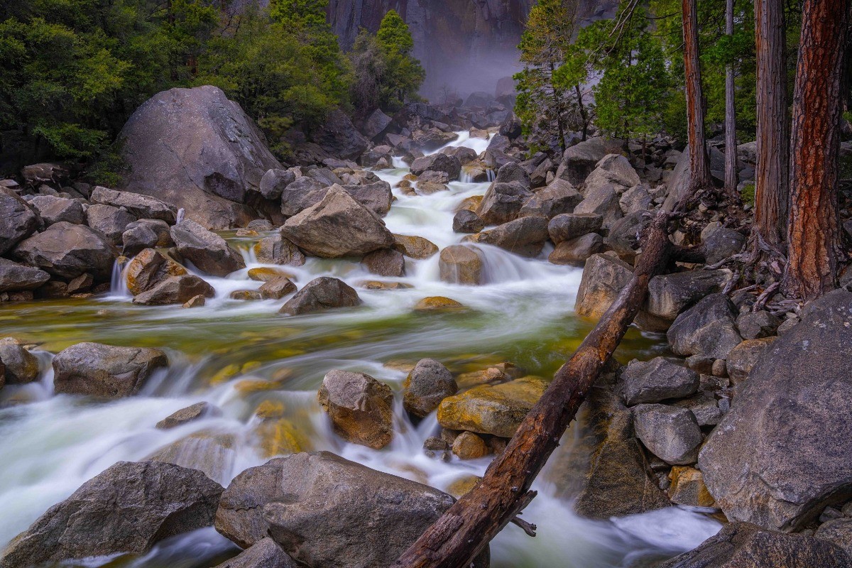 Forests and Waterfalls