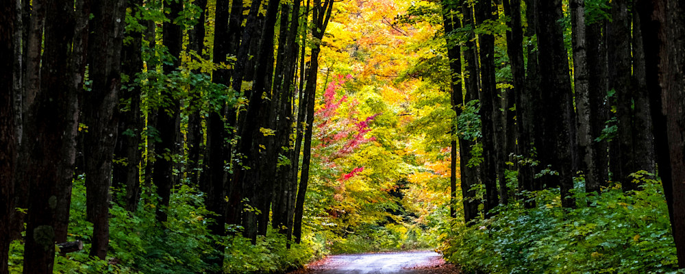 
        <div class='title'>
          Fall  colors Michigan copy 2 xijyis zoqdl5
        </div>
       
        <div class='description'>
          
        </div>
      