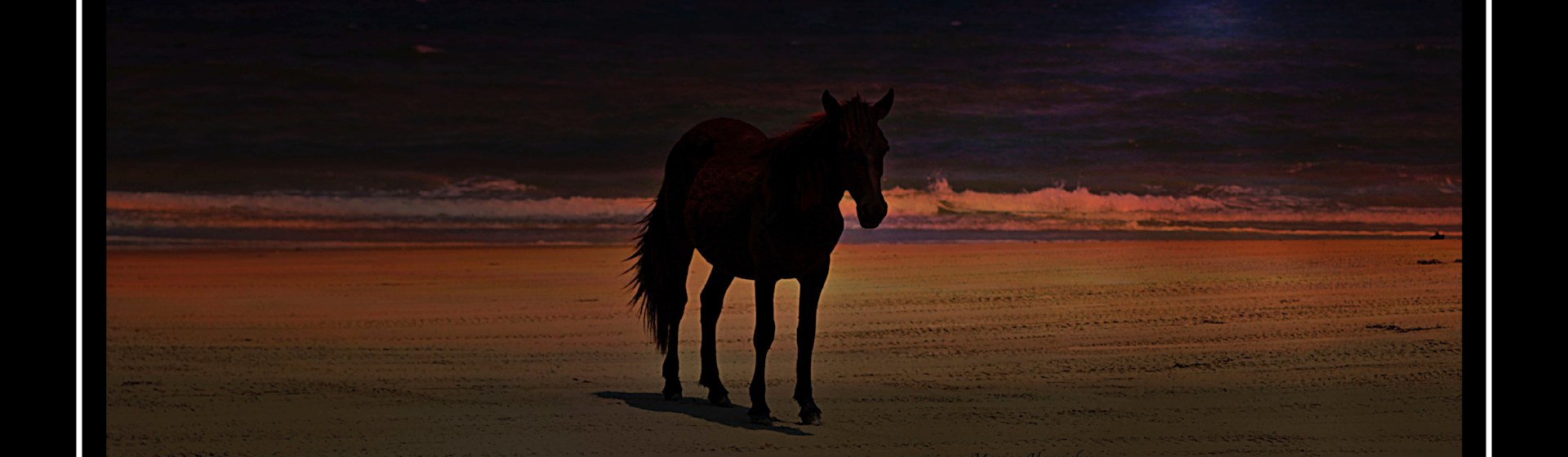 
        <div class='title'>
          2023 Horse at nightMoon1 n7rlri
        </div>
       
        <div class='description'>
          
        </div>
      