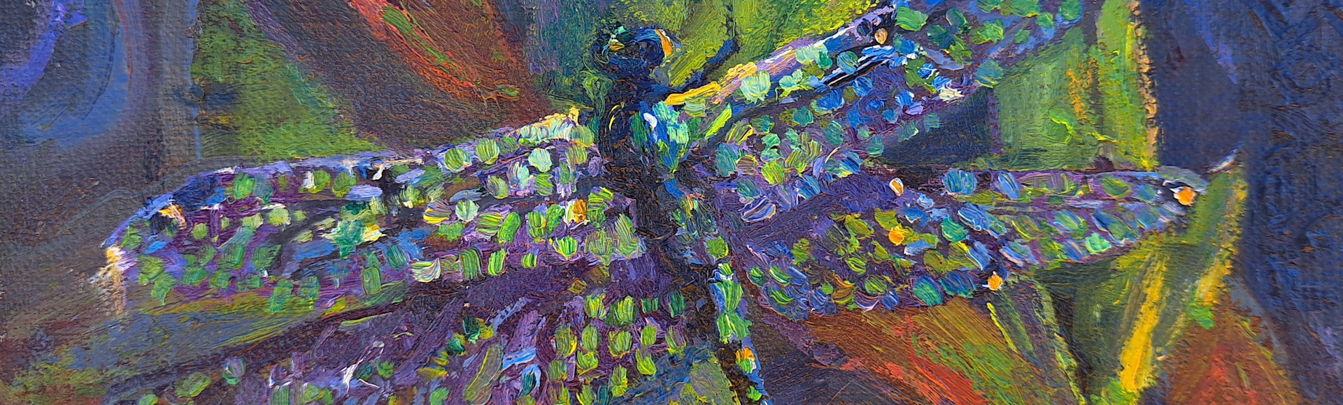 
        <div class='title'>
          Dragonfly
        </div>
       
        <div class='description'>
          
        </div>
      