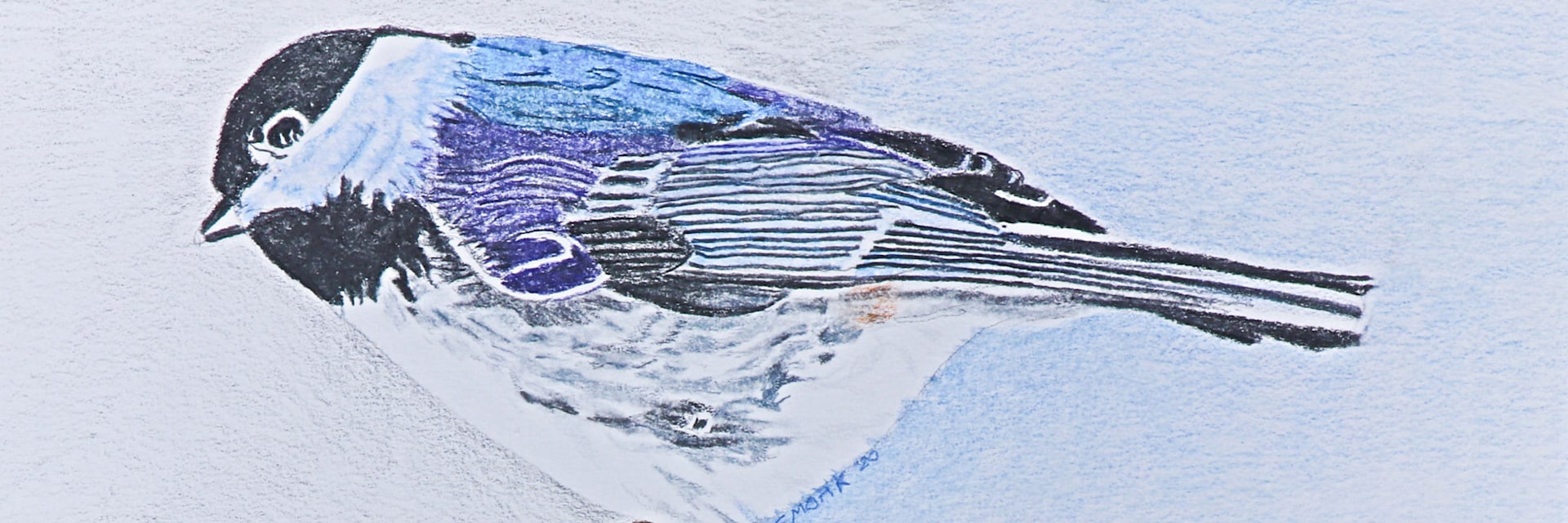
        <div class='title'>
          Gayle Smoak Little Bird, 7 x 10
        </div>
       
        <div class='description'>
          
        </div>
      