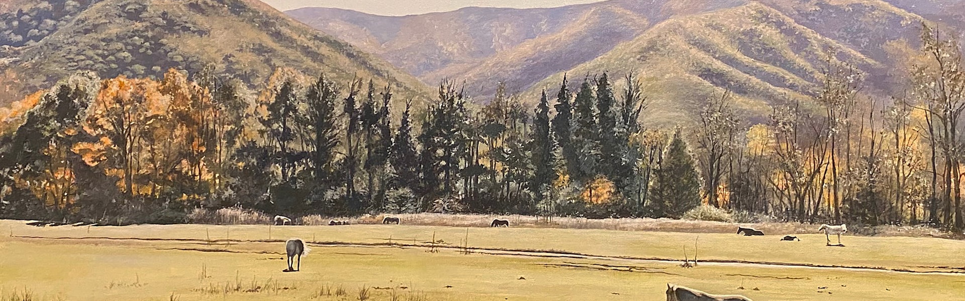 
        <div class='title'>
          Meadow at Pigeon Forge, Tennessee
        </div>
       
        <div class='description'>
          
        </div>
      
