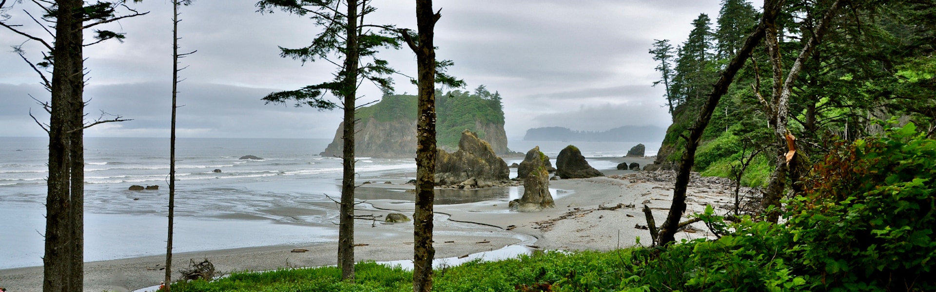 
        <div class='title'>
          Ruby Beach
        </div>
       
        <div class='description'>
          
        </div>
      