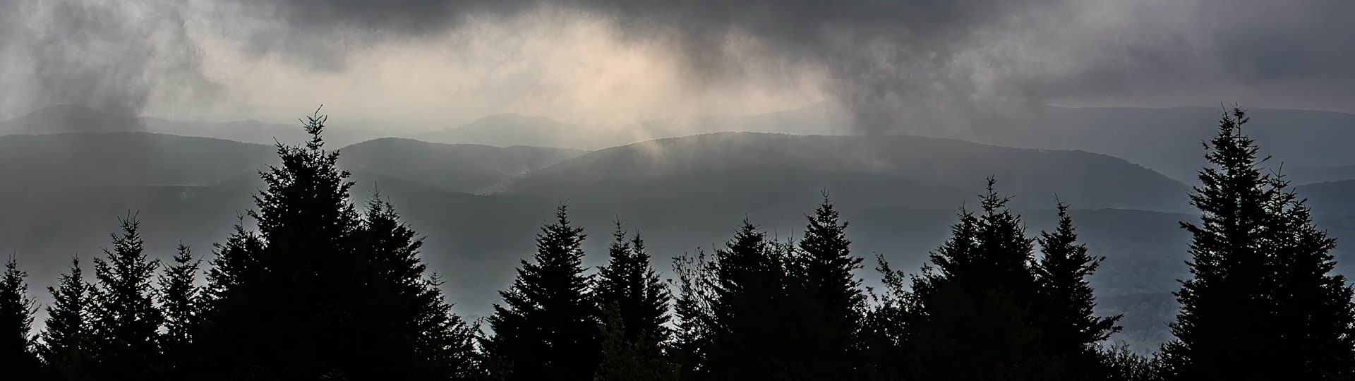 
        <div class='title'>
          Uplifting Fog n7bwkw
        </div>
       
        <div class='description'>
          
        </div>
      