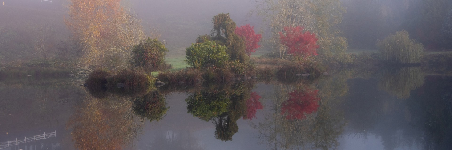 
        <div class='title'>
          Island in the Mist PGC1457
        </div>
       
        <div class='description'>
          
        </div>
      