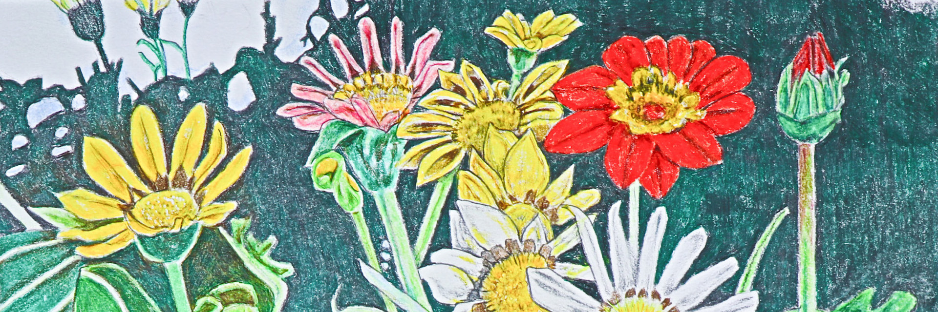 
        <div class='title'>
          Gayle Smoak Field Flowers  7 x 10 (1)
        </div>
       
        <div class='description'>
          
        </div>
      