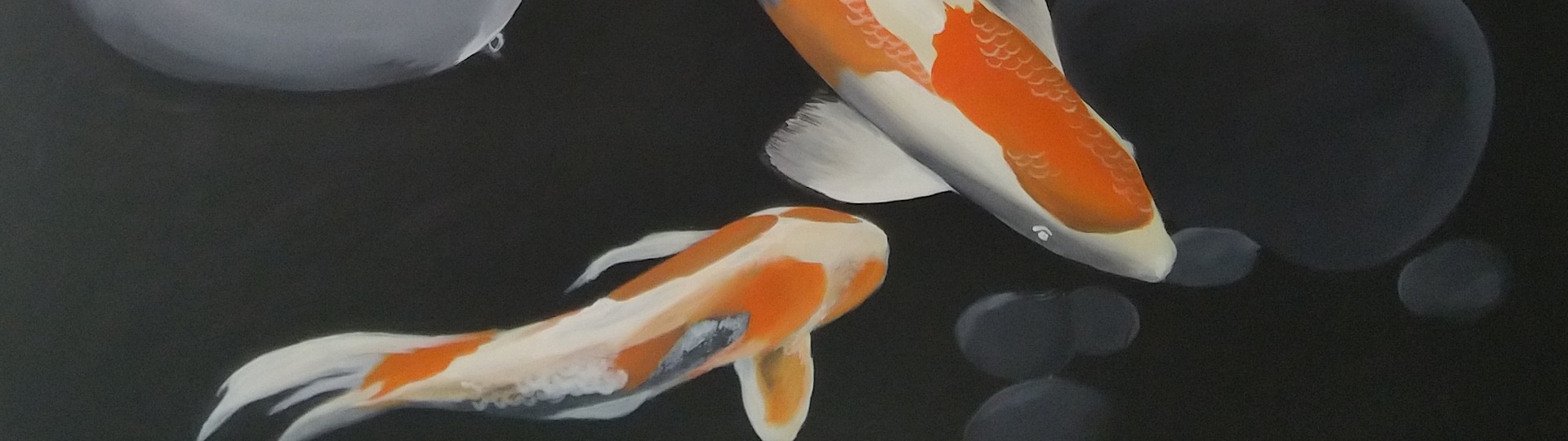 
        <div class='title'>
          Make A Wish
        </div>
       
        <div class='description'>
          
        </div>
      
