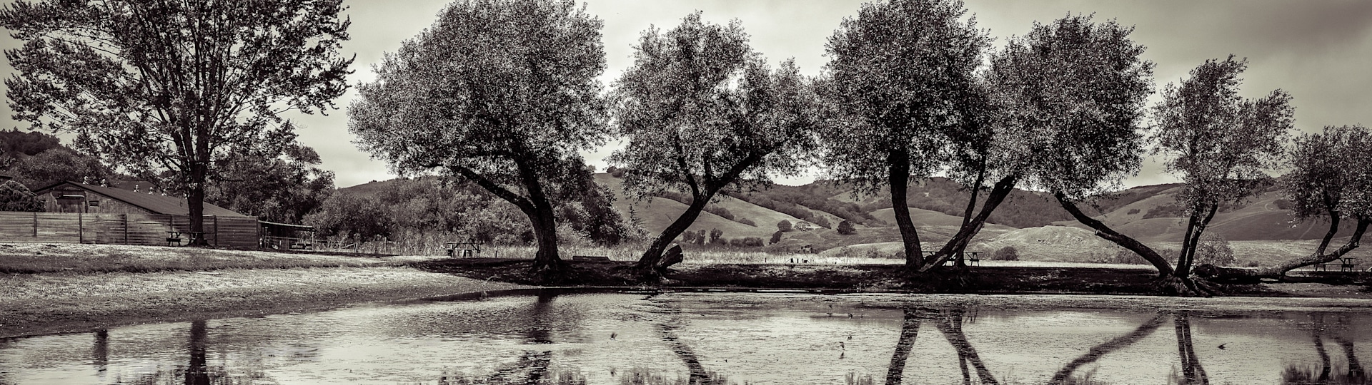 
        <div class='title'>
          Trees Reflected in Pond Toned copy
        </div>
       
        <div class='description'>
          
        </div>
      