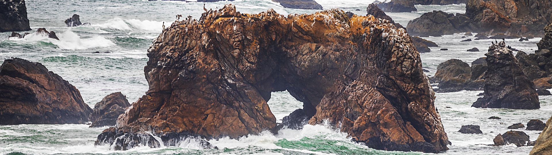 
        <div class='title'>
          Arch Rock, Sonoma Coast Web Copy 2
        </div>
       
        <div class='description'>
          
        </div>
      