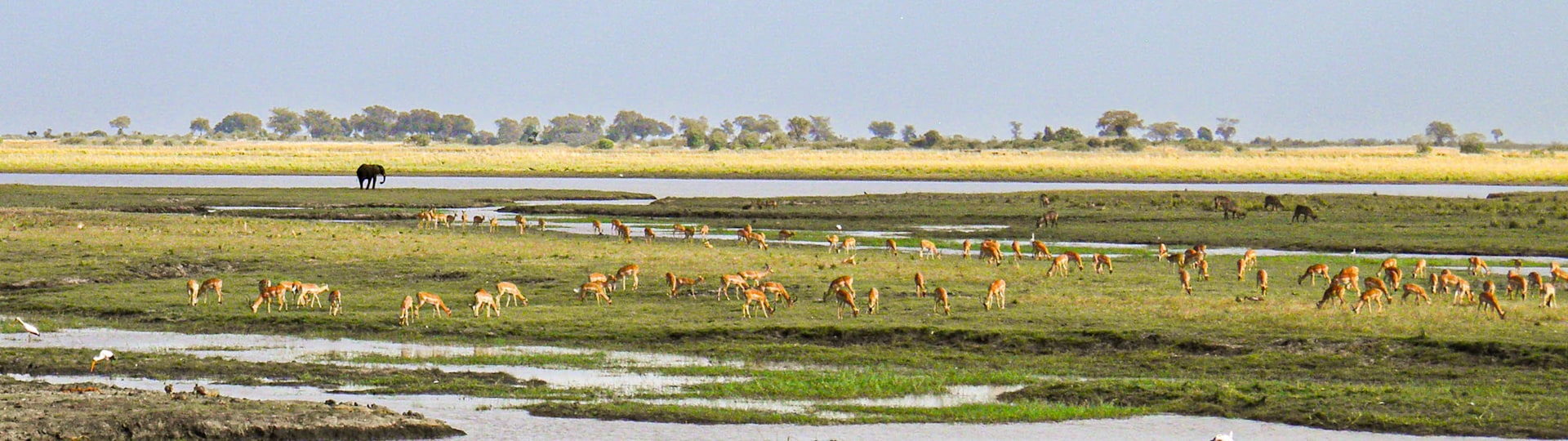 
        <div class='title'>
          The Zambezi Plateau otnook
        </div>
       
        <div class='description'>
          
        </div>
      